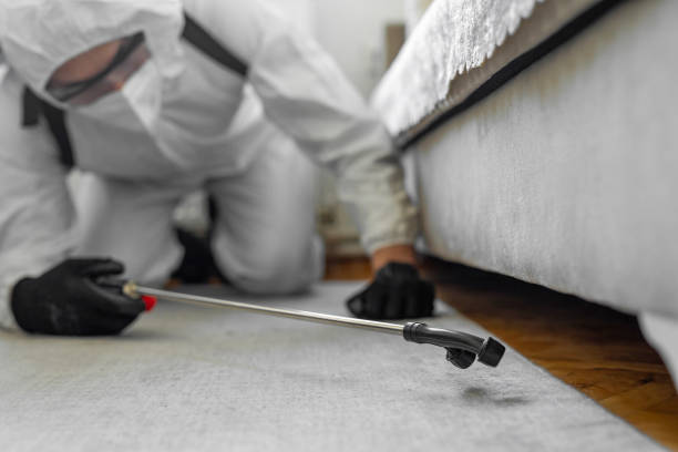 Professional Bed Bug Control technician working in Cherokee County County, GA